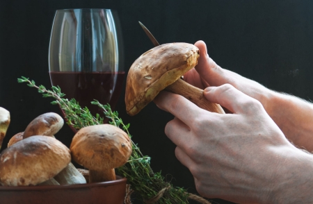 Raccolta funghi